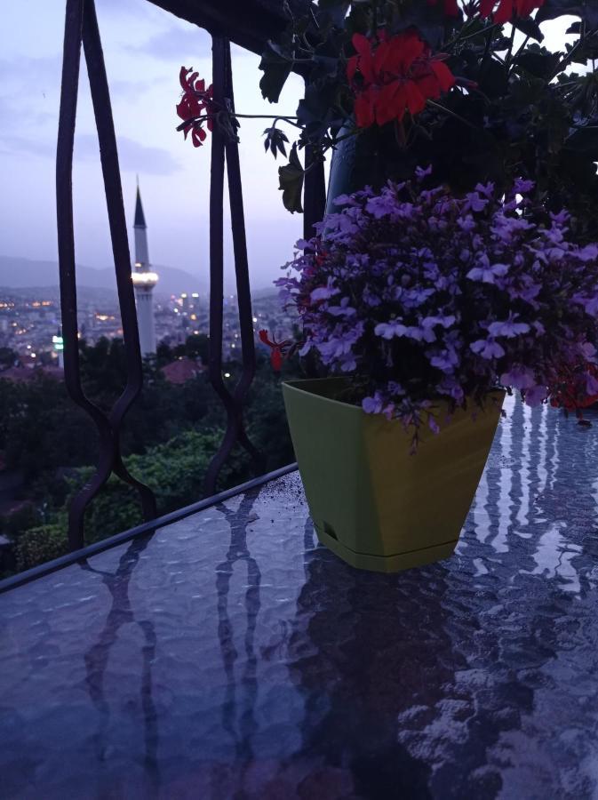 Romantic SJJ Exteriör bild